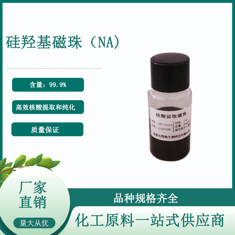 核酸提取硅羟基磁珠