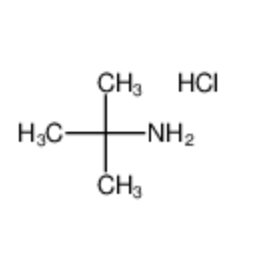 2-氨基-2-甲基丙烷盐酸盐