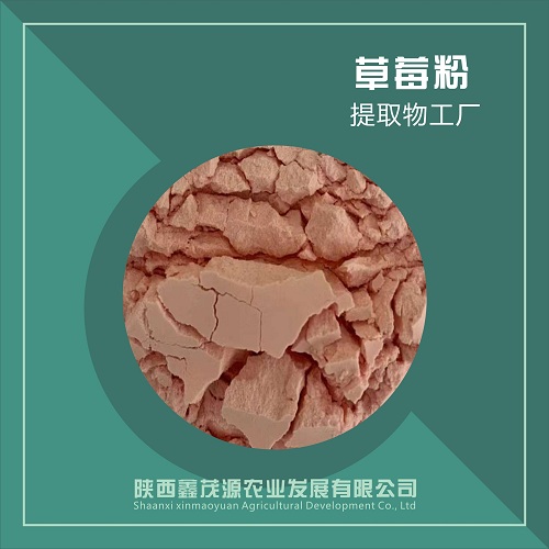 草莓果粉 喷雾干燥粉 草莓粉  食品饮料原料质量稳定现货包邮 量大优惠