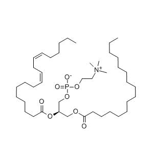 葵花/大豆来源，卵磷脂液体/粉末