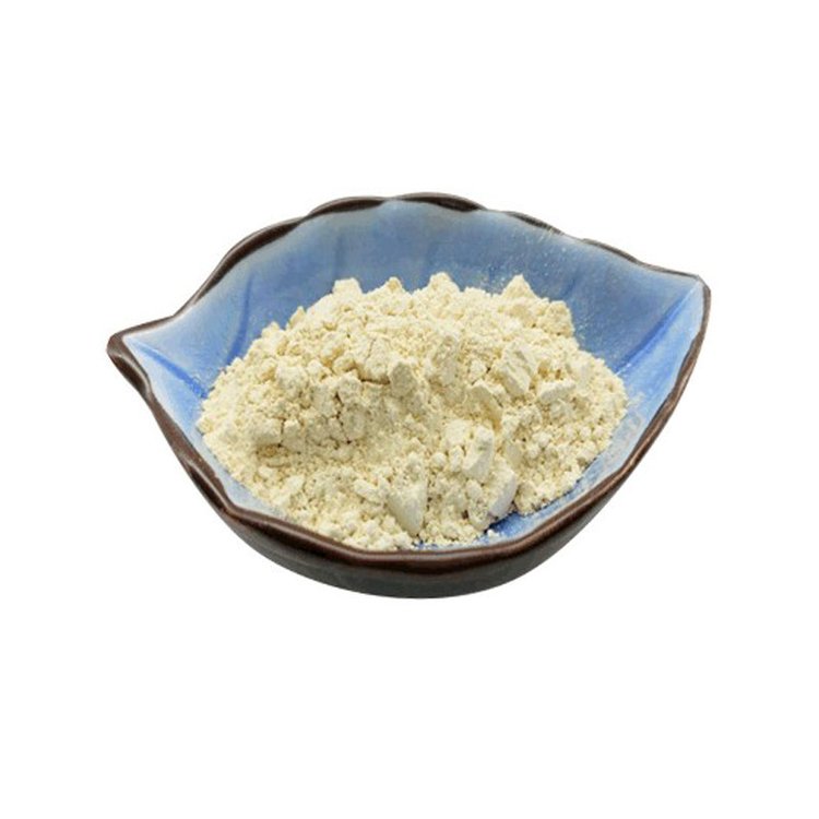 生姜粉生产厂家