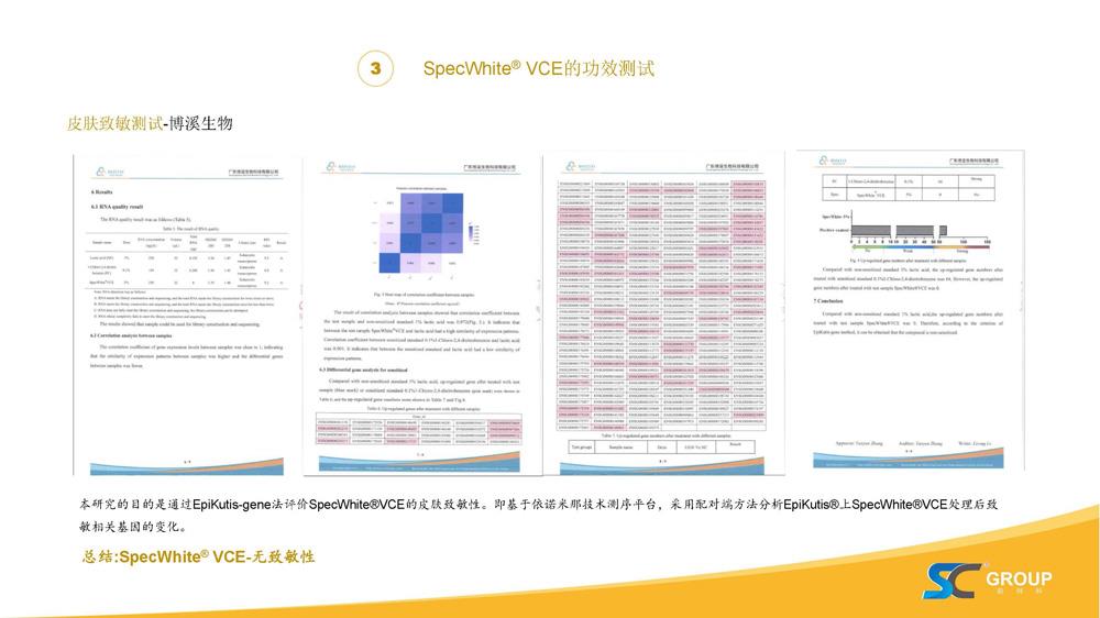 PPT-SpecWhite庐VCE-3-o-涔欏熀鎶楀潖琛€閰_瓒呯骇绋冲畾鐨勭淮C琛嶇敓鐗╃編鐧芥姉姘у寲鍓_涓枃20200330_椤甸潰_16.jpg