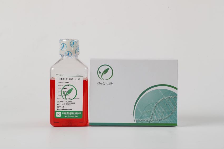 RPMI 1640培养基（无糖、含HEPES、双抗）