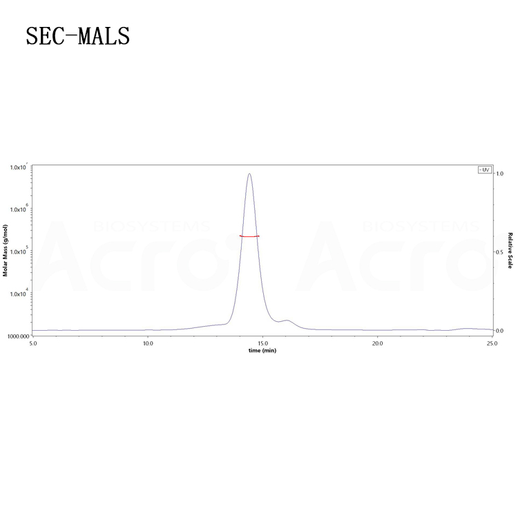 百普赛斯PSMA蛋白厂家，重组人PSMA蛋白