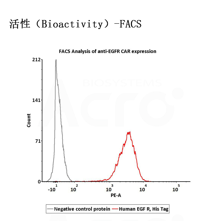 人表皮生长因子受体，EGF R重组蛋白 ACRO百普赛斯