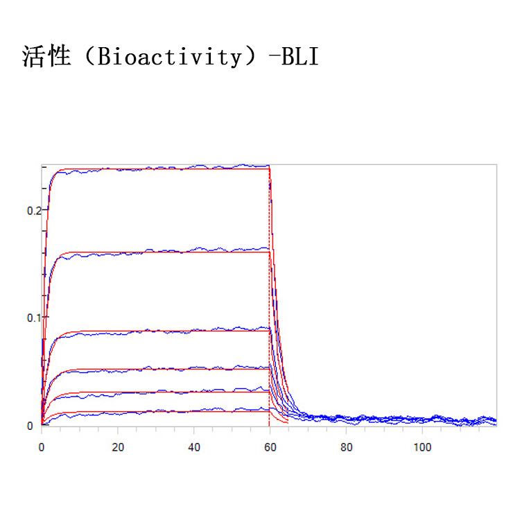 重组人CTLA-4蛋白 ACRO百普赛斯