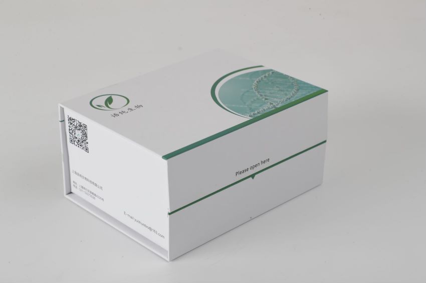 1%醛化豚鼠红细胞