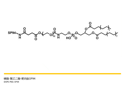 多肽介导PEG磷脂——磷脂-聚乙二醇-靶向肽SP94，DSPE-PEG-SP94