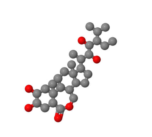 表高油菜素内酯