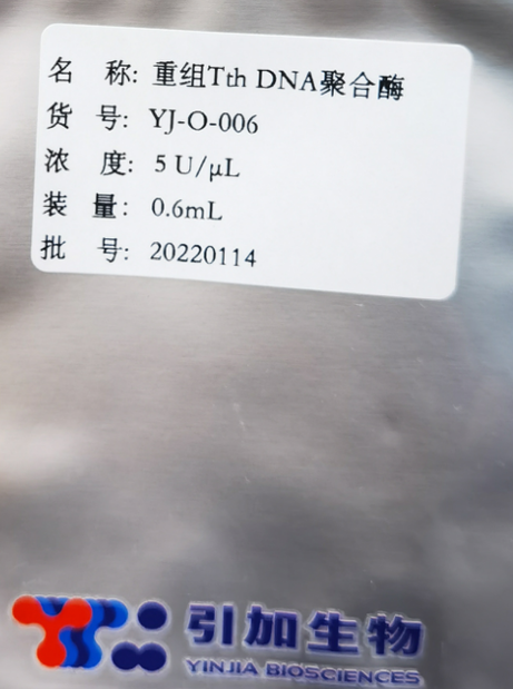 重组 Tth DNA 聚合酶