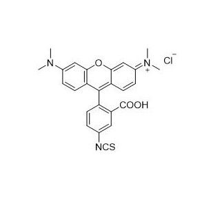 四甲基罗丹明-5-异硫氰酸酯   80724-19-2