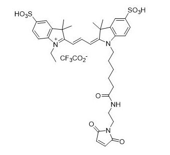 Sulfo-Cy3 马来酰亚胺   616207-80-8