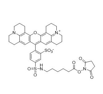 Texas Red-X NHS ester（德州红-X NHS 活化酯）