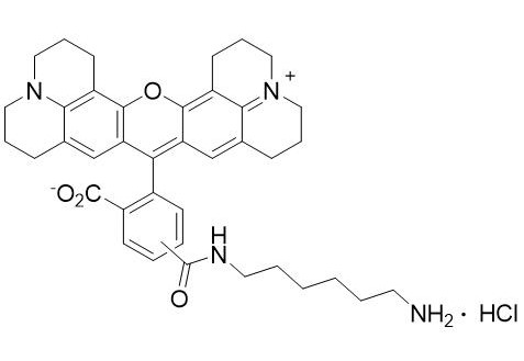 氨基ROX  Amino ROX
