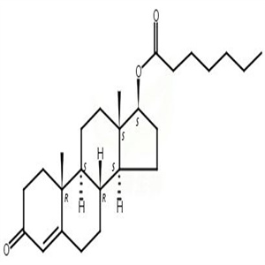 庚酸睾酮