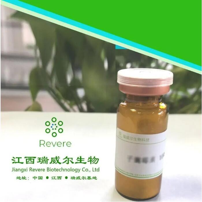  39890-45-4 1-(吡咯烷基羰基甲基)哌嗪化学试剂科研实验原料工厂