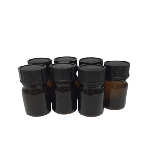 同源盒蛋白转录因子EN1 抗体