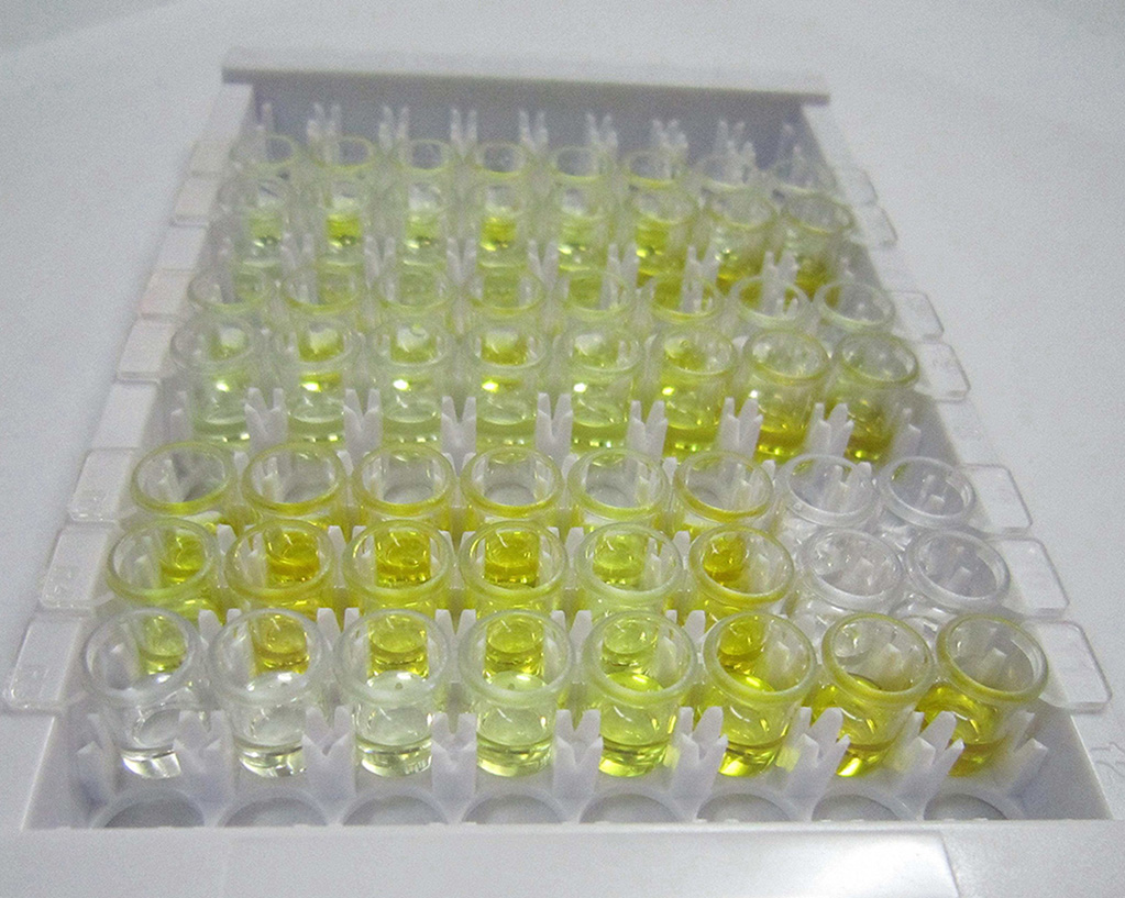 CYTO-ID细胞谱系示踪试剂盒