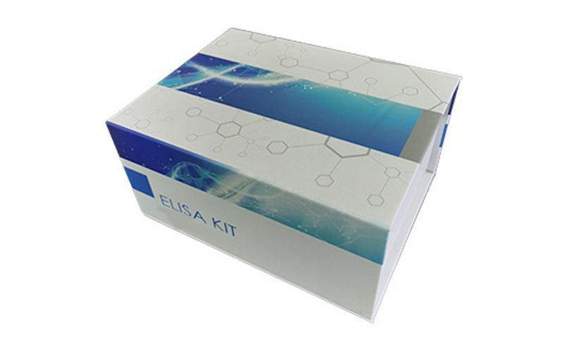 厄洛替尼，盐酸盐