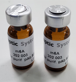 人干扰素a，IFN-a，单克隆抗体