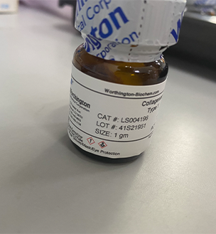 大鼠抗小鼠二抗