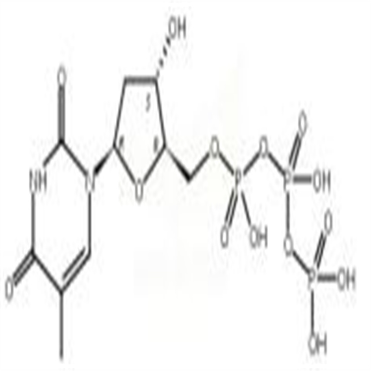 Deoxythymidine triphosphate  