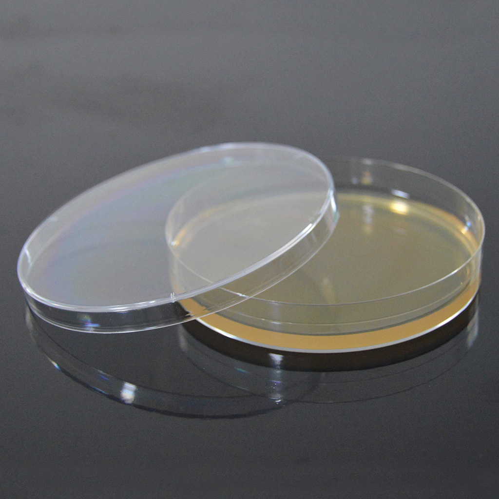 mFluor紫罗兰色610 SE