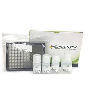 iFluor 532琥珀酰SE