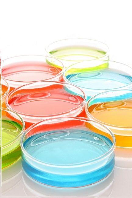 Amplite葡萄糖定量检测试剂盒