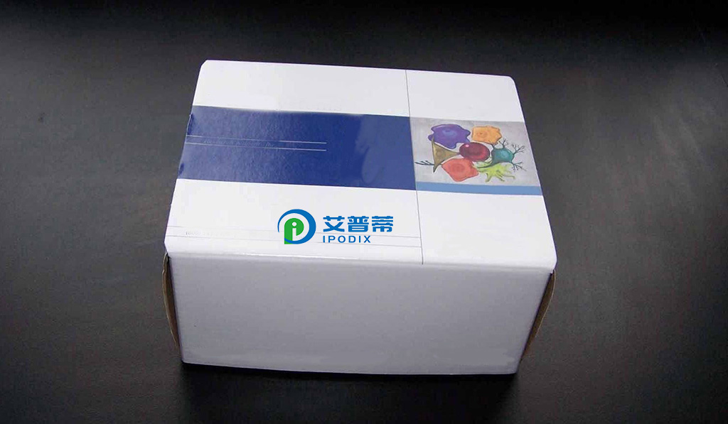 钙黄绿素,AM,超级纯,