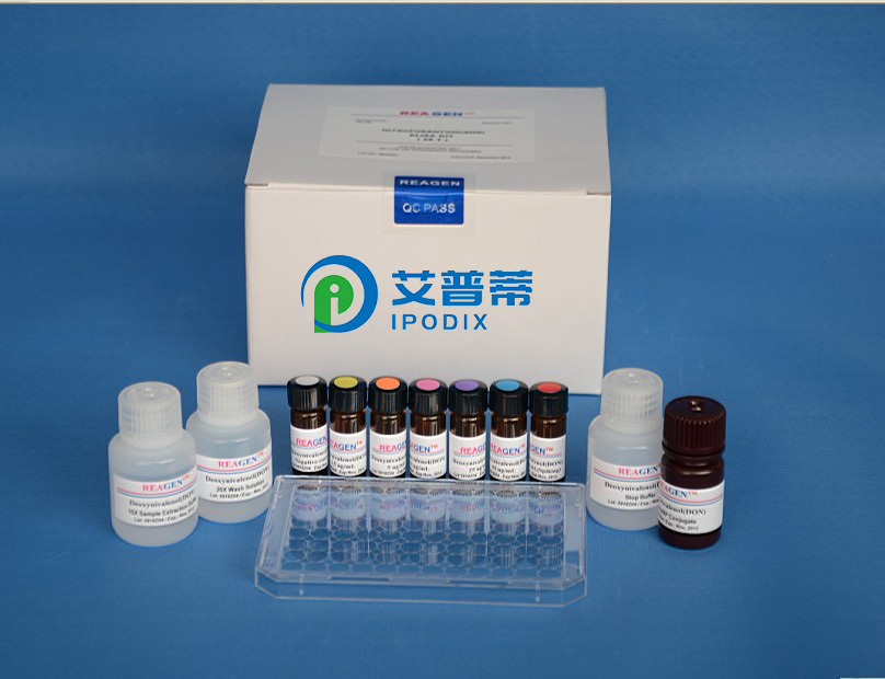 MitoLiteTM红色CMXRos