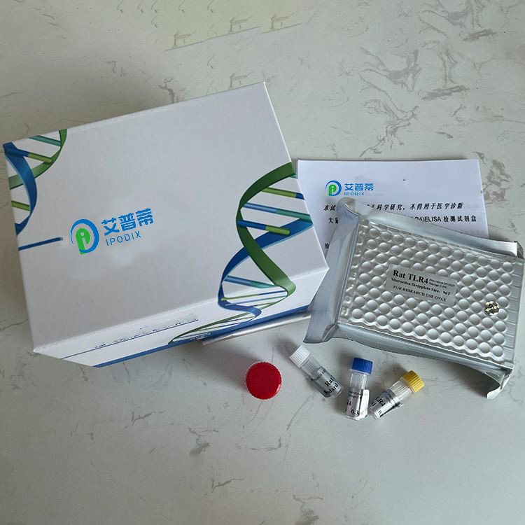 FluoroQuest封片剂,含DAPI
