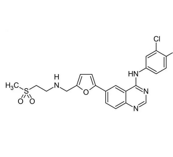 Hep G2 (人肝癌细胞) (STR鉴定正确)