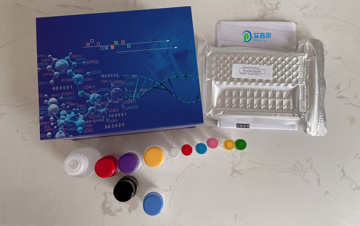 iFluorTM 555酰胺