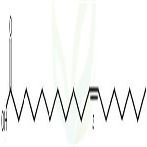 11-顺－十八碳烯酸