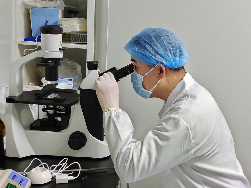 TNF单克隆抗体，克隆4E1