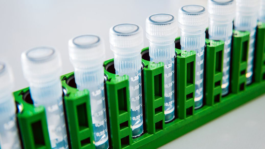 C-藻蓝素(藻蓝蛋白)