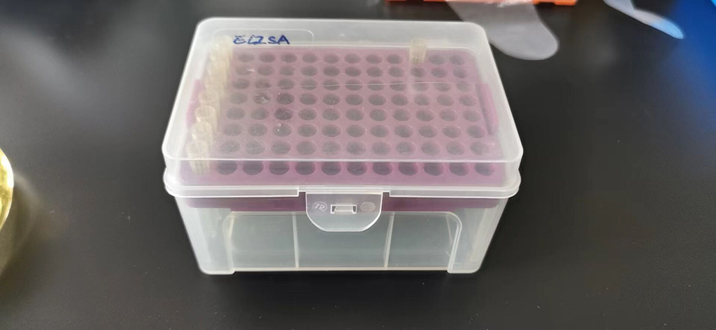 LRRK2 (Human) Recombinant Protein (Q01)
