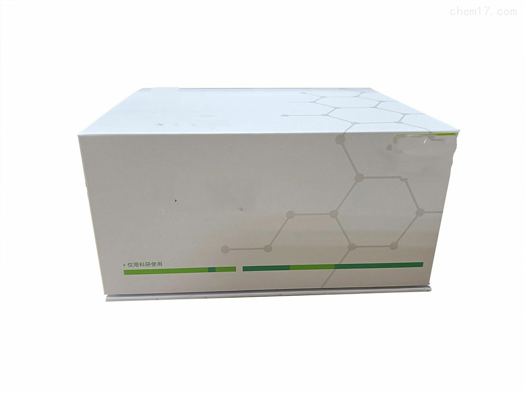 WDR66纯化的MaxPab小鼠源多克隆抗体(B01P)