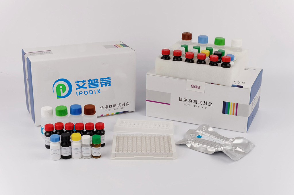 RDH12纯化的MaxPab小鼠源多克隆抗体(B01P)