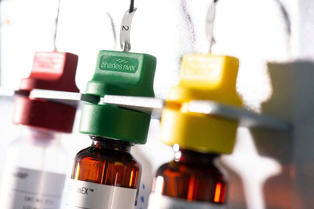 兔来源抗体：Tyrosine Hydroxylase（TH）：whole serum