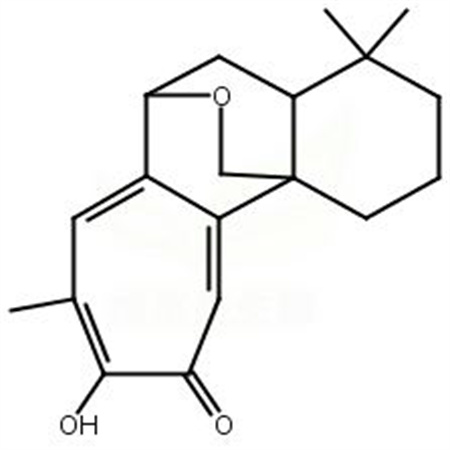 丹参环庚三烯酚酮