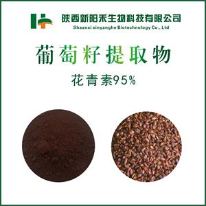 葡萄籽提取物葡萄多酚 葡萄籽花青素