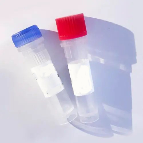 抗人CD46单克隆抗体（克隆号M177）