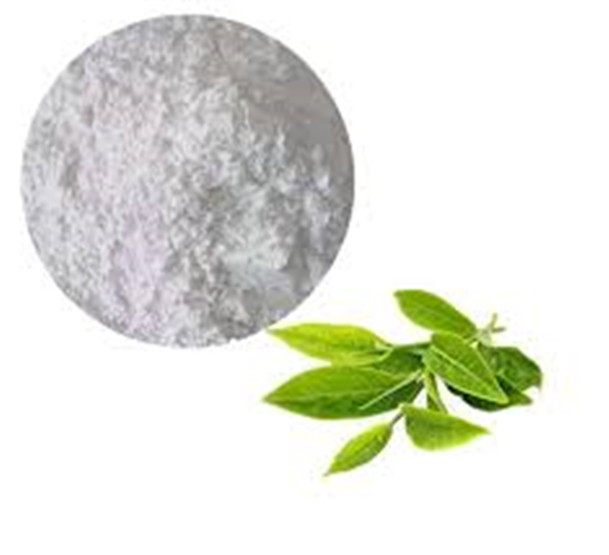 (-)-表没食子儿茶素没食子酸酯