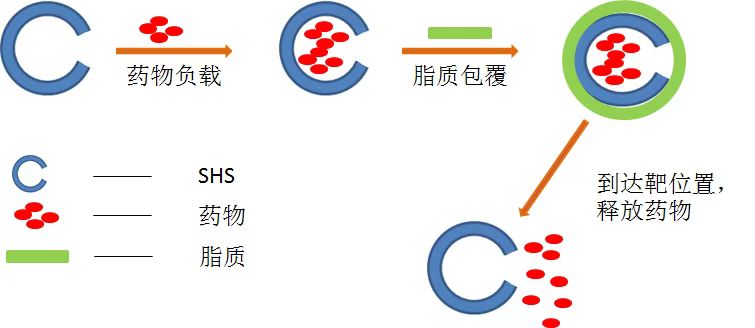 纳米开口空心树脂球