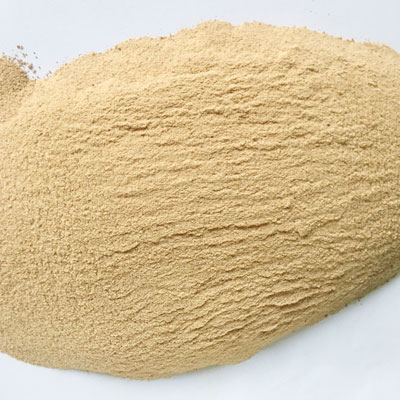 啤酒酵母是什么