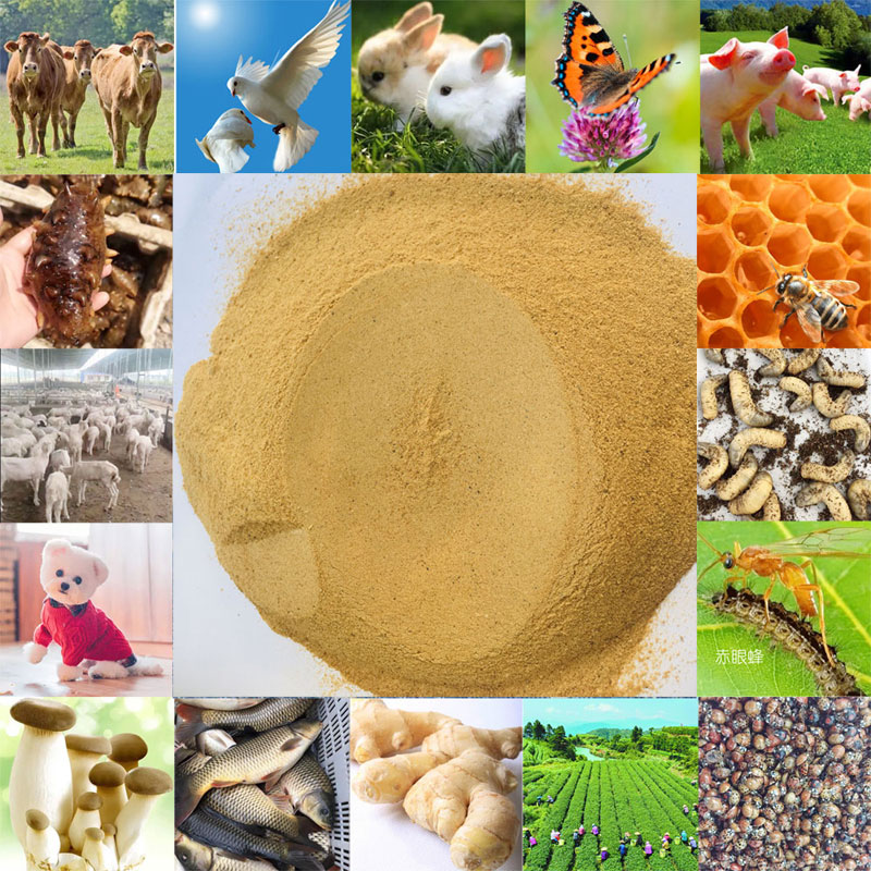 啤酒酵母粉质量