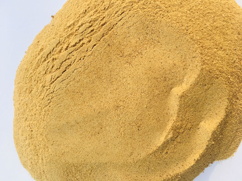 宠物狗猫等啤酒酵母粉