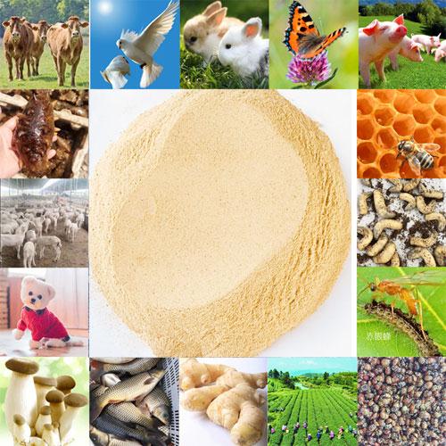 综合应用5-4.jpg 综合应用5-4.jpg